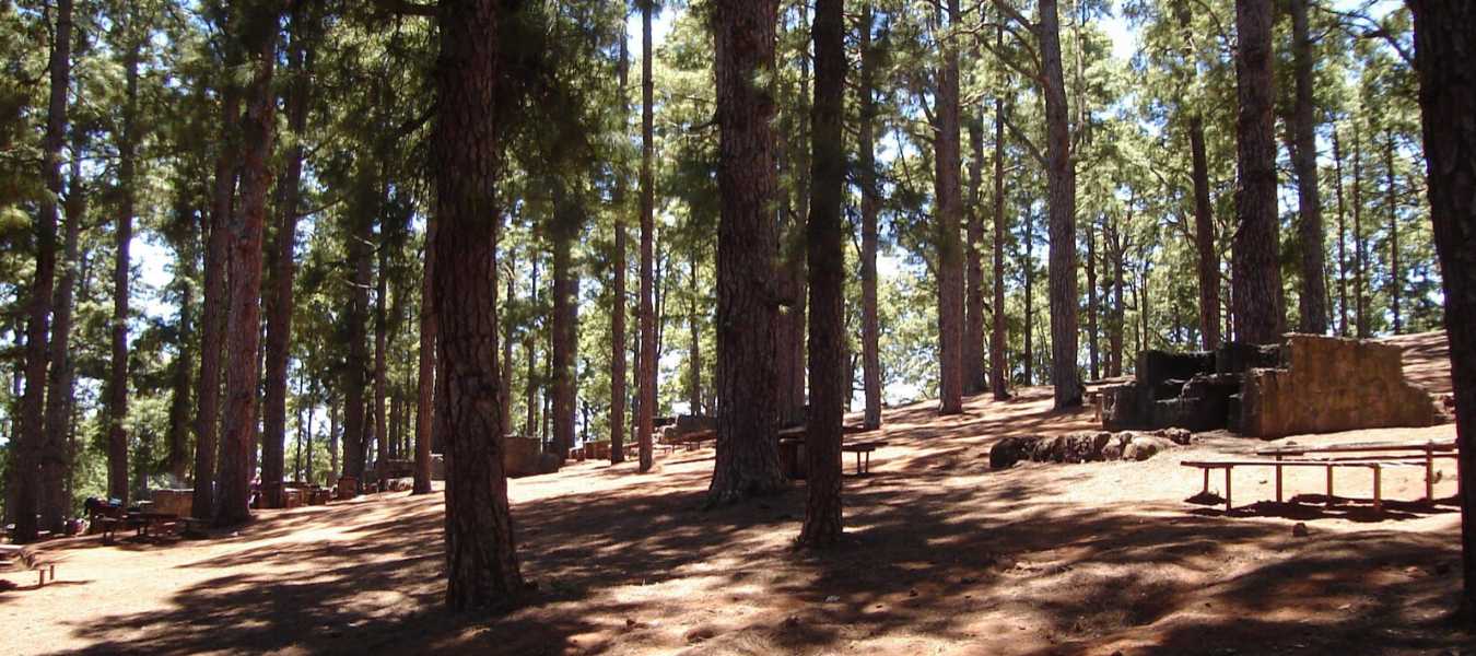 Featured Image 36411