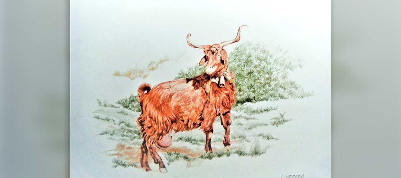 Featured Image 36417