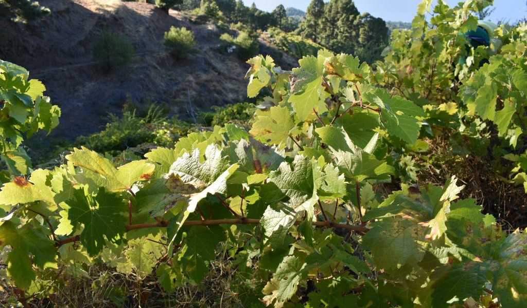 Featured Image 36569