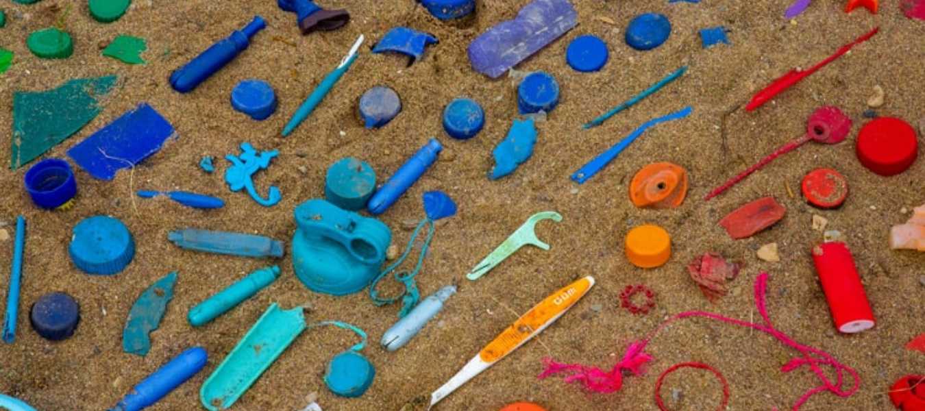 Featured Image 36583