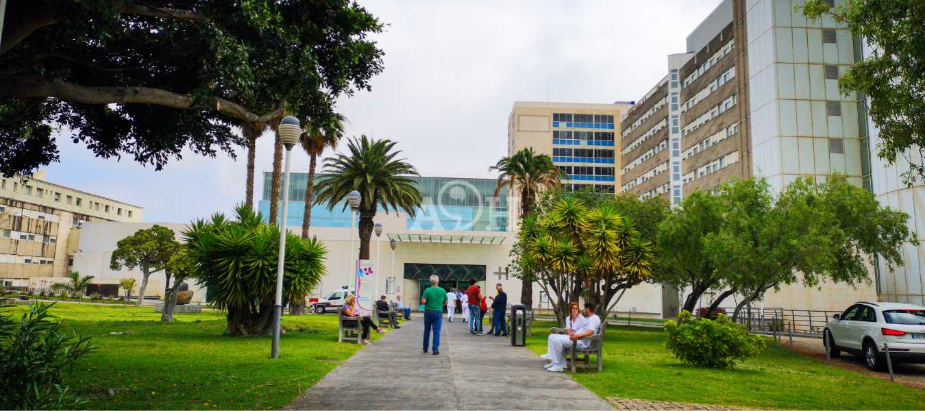 Featured Image 36679