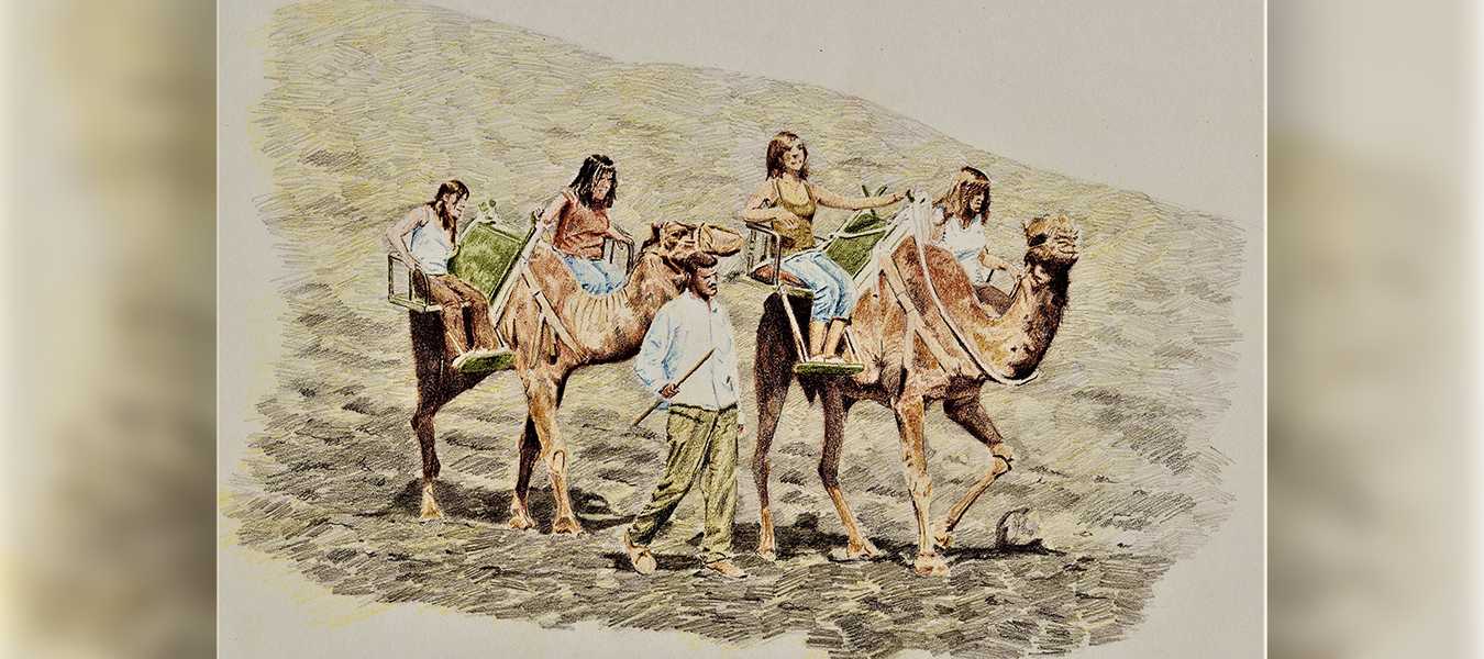 Featured Image 36681