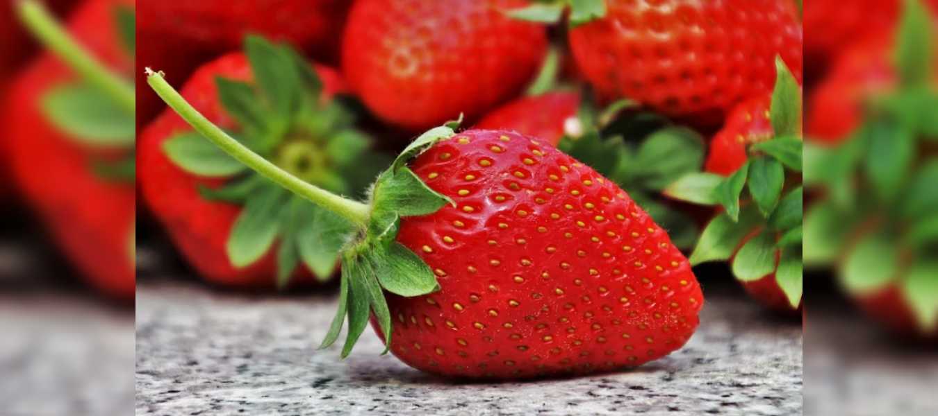 Featured Image 36693