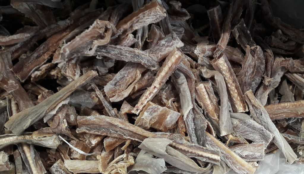 Featured Image 36809