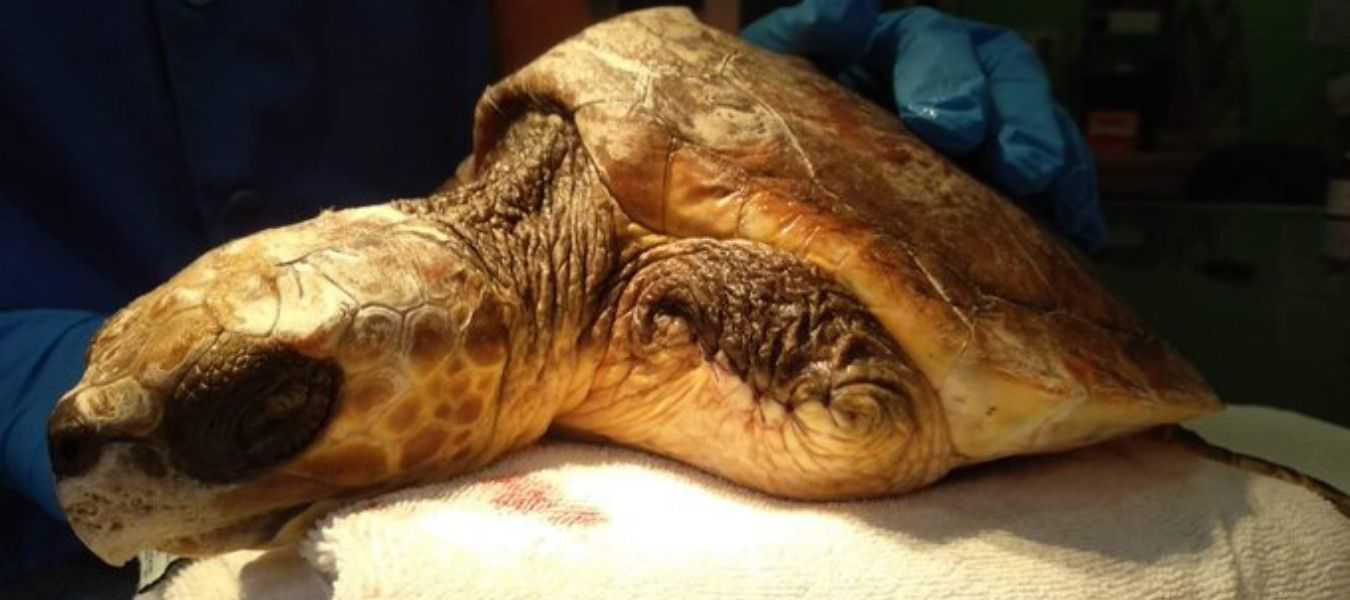 Featured Image 36839