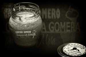 Featured Image 36907