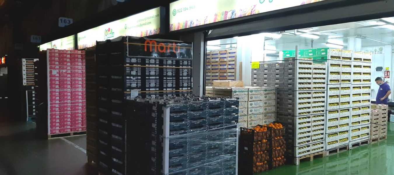 Featured Image 36933