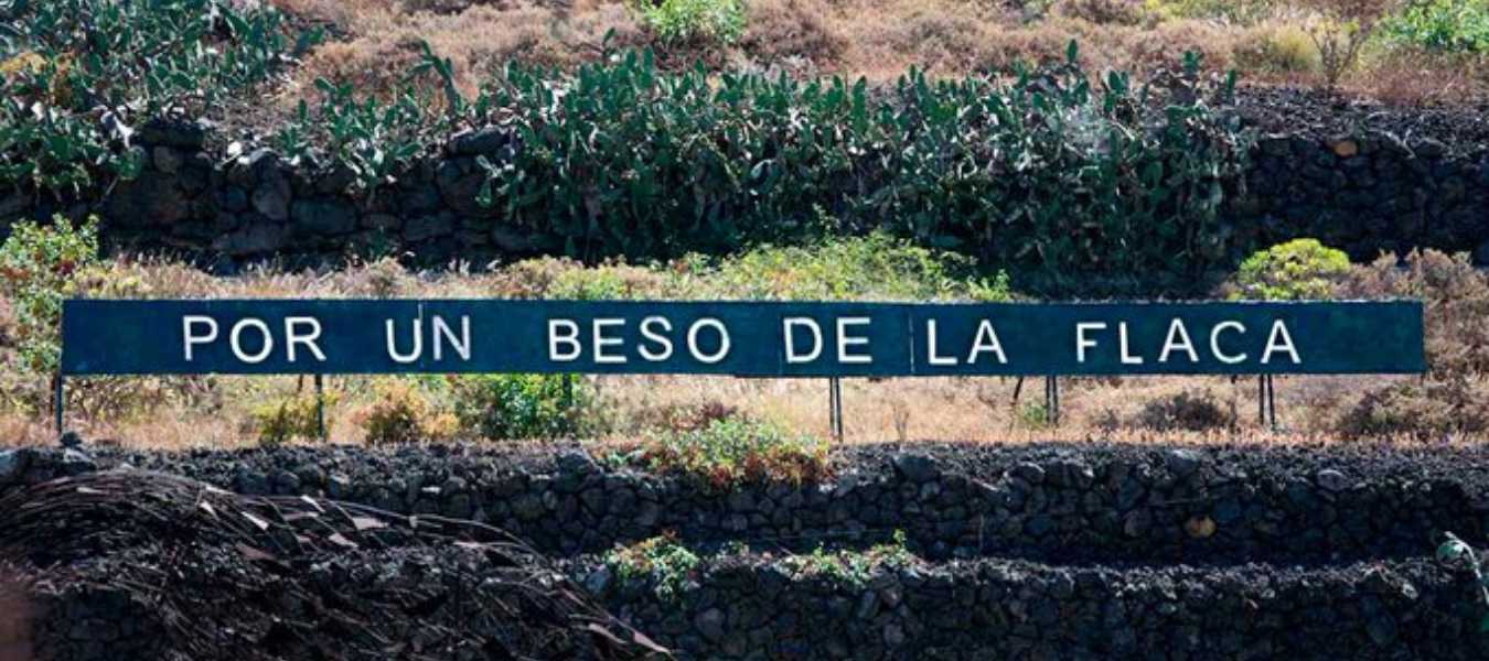 Featured Image 37009