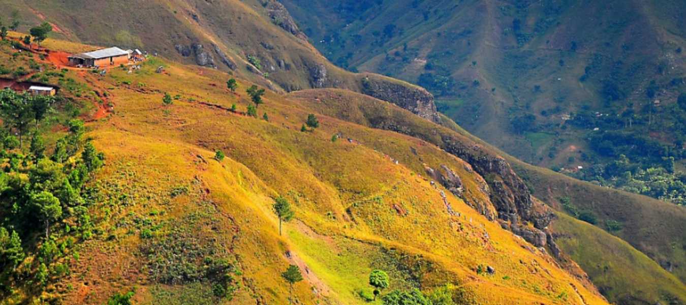 Featured Image 37067