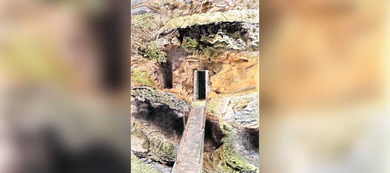 Featured Image 37147