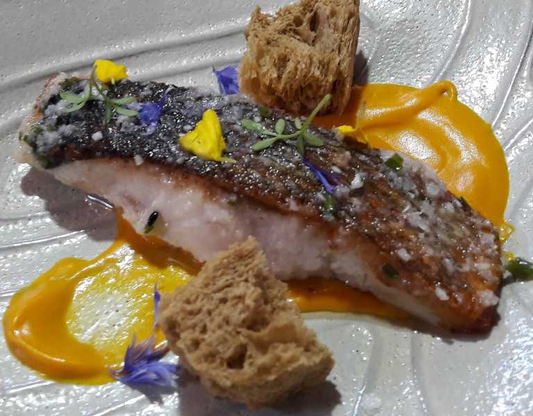 Featured Image 37325