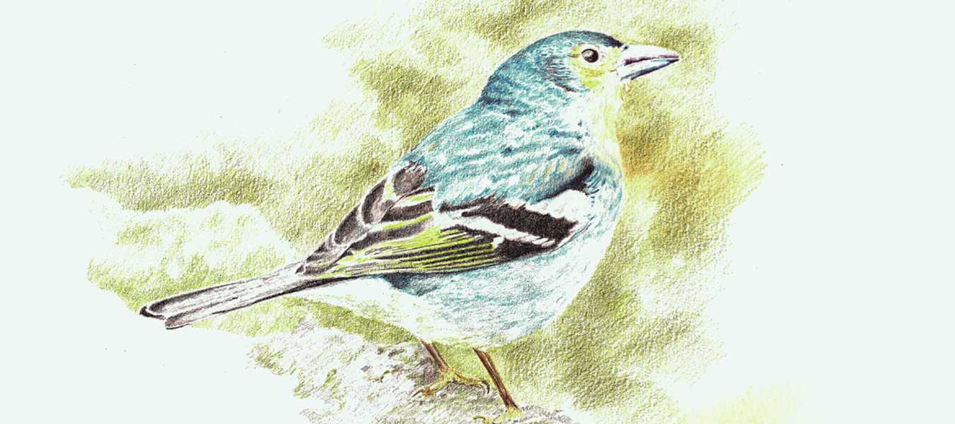 Featured Image 37453