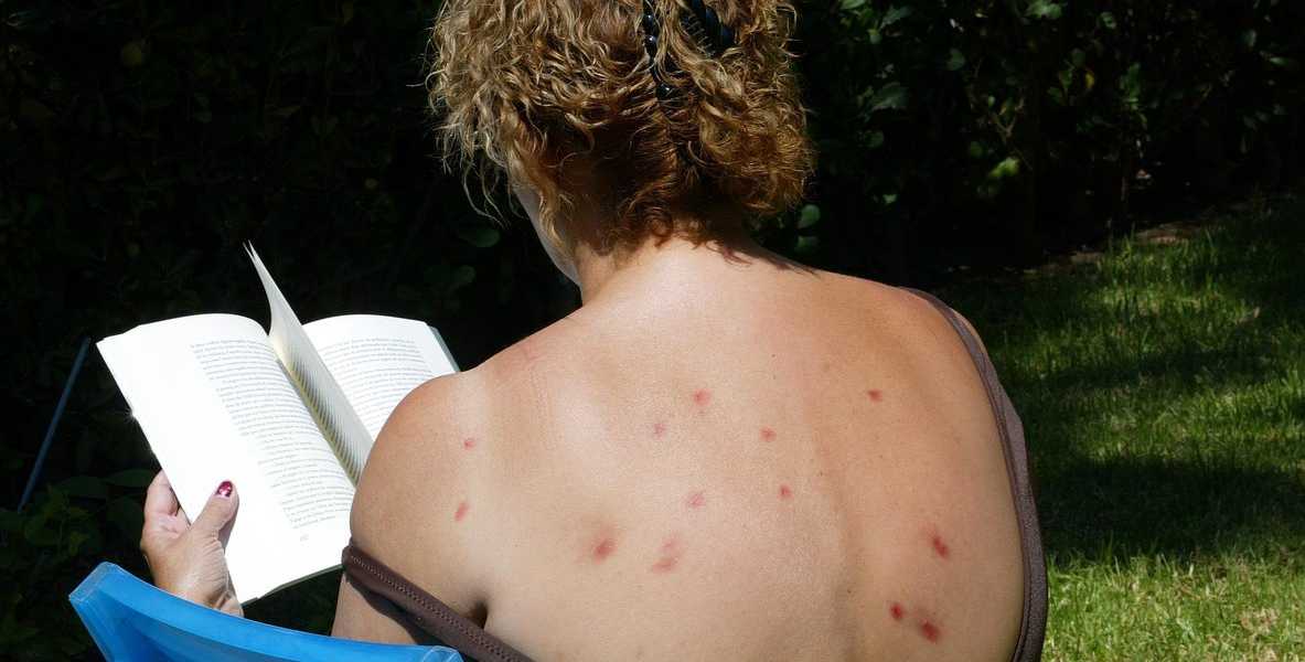 Featured Image 37513