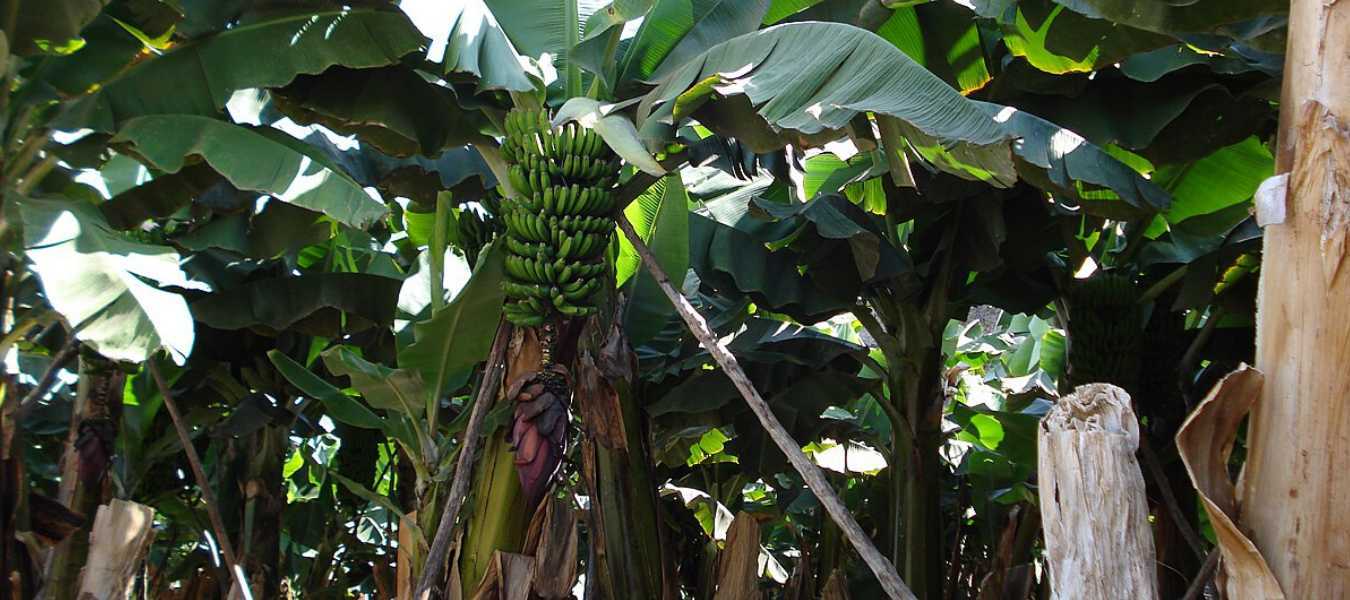 Featured Image 37531