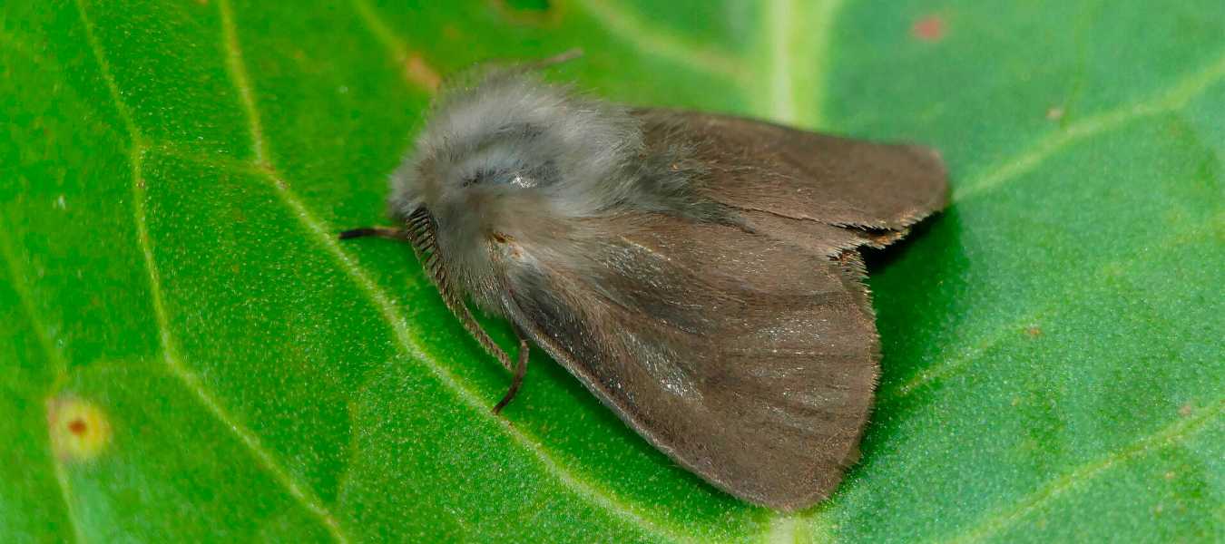 Featured Image 37751