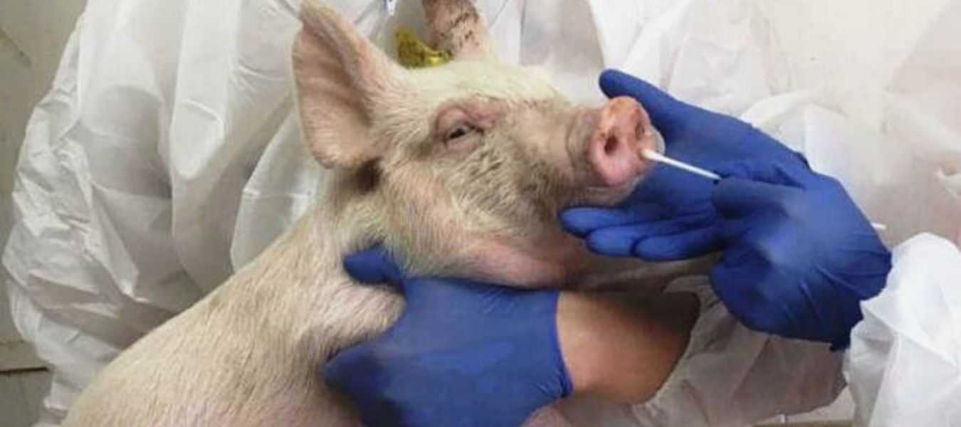 Featured Image 37779