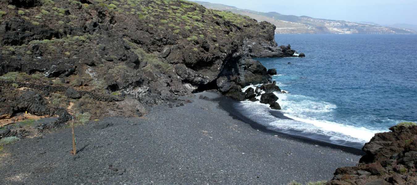 Featured Image 37865