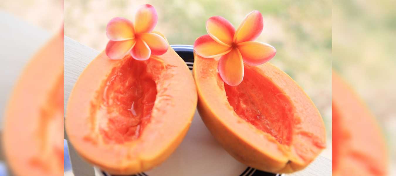 Featured Image 37961