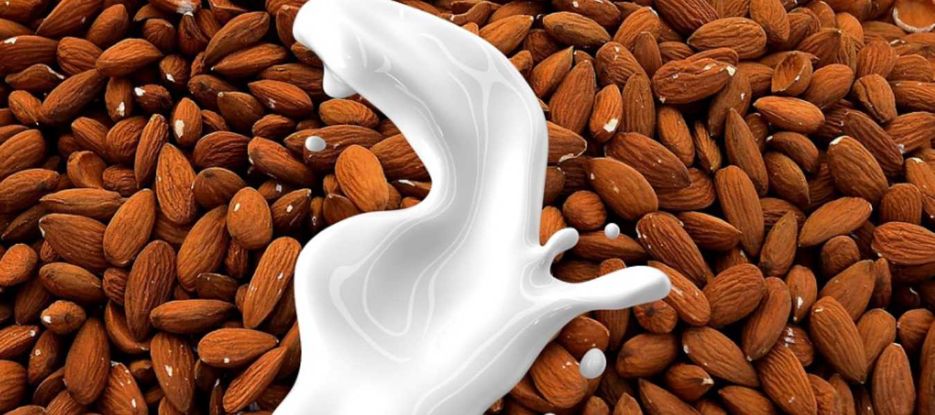 Featured Image 38461