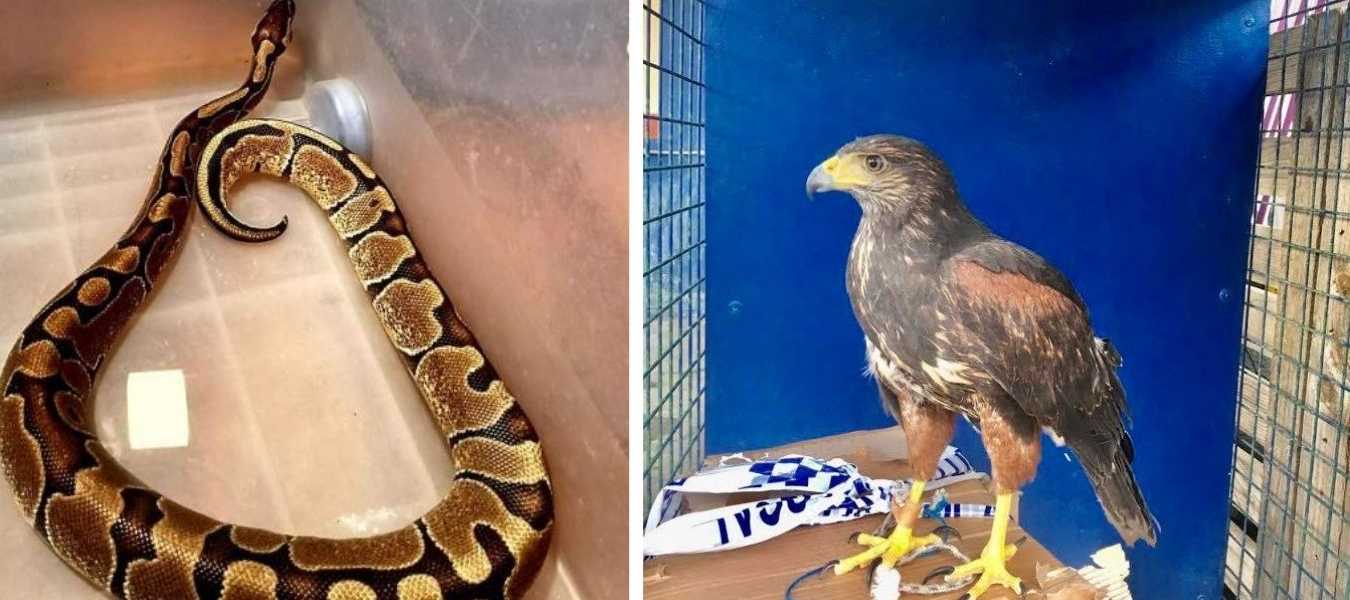 Featured Image 38721