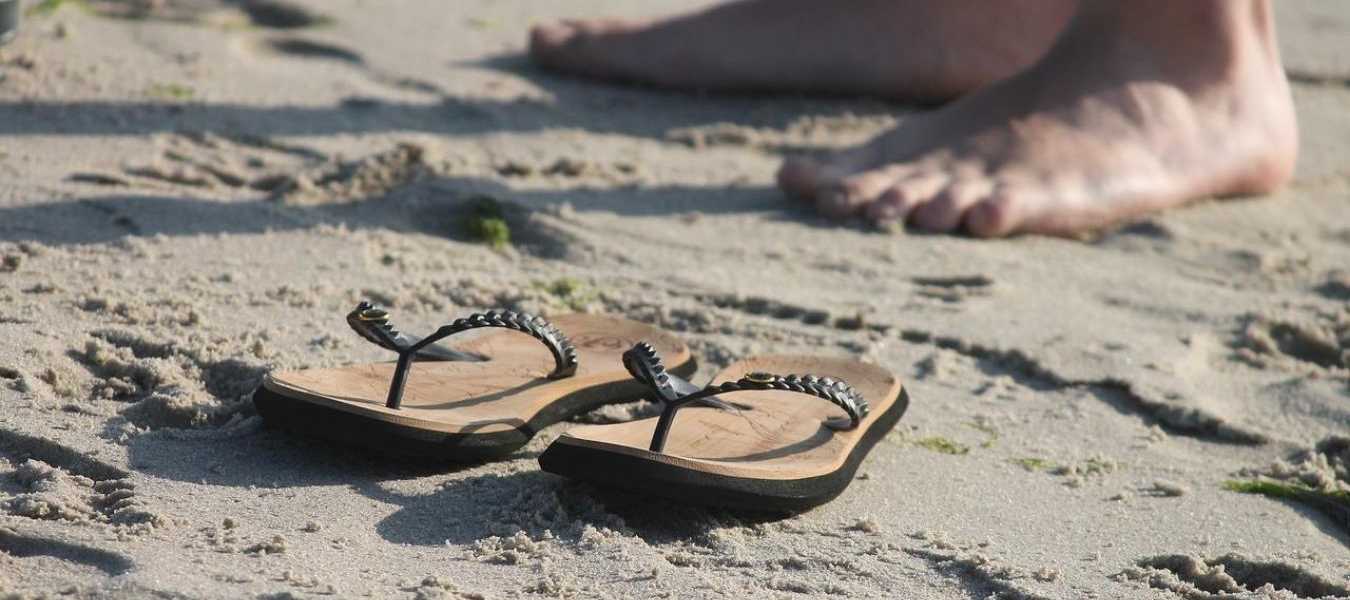 Featured Image 38841