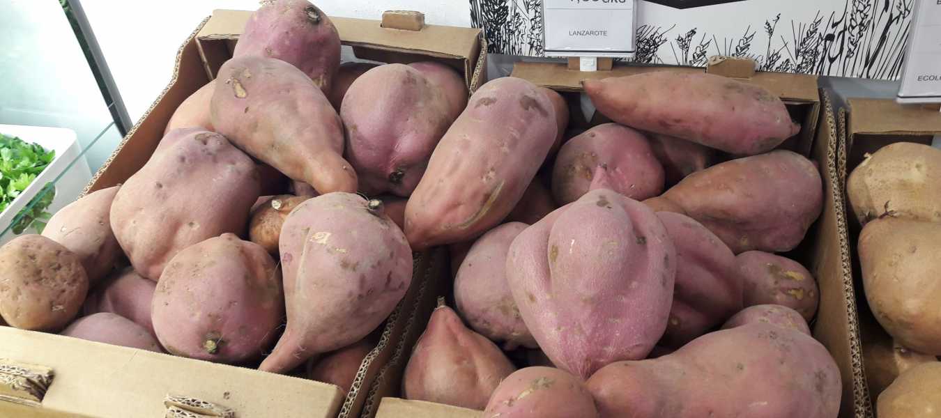 Featured Image 39021