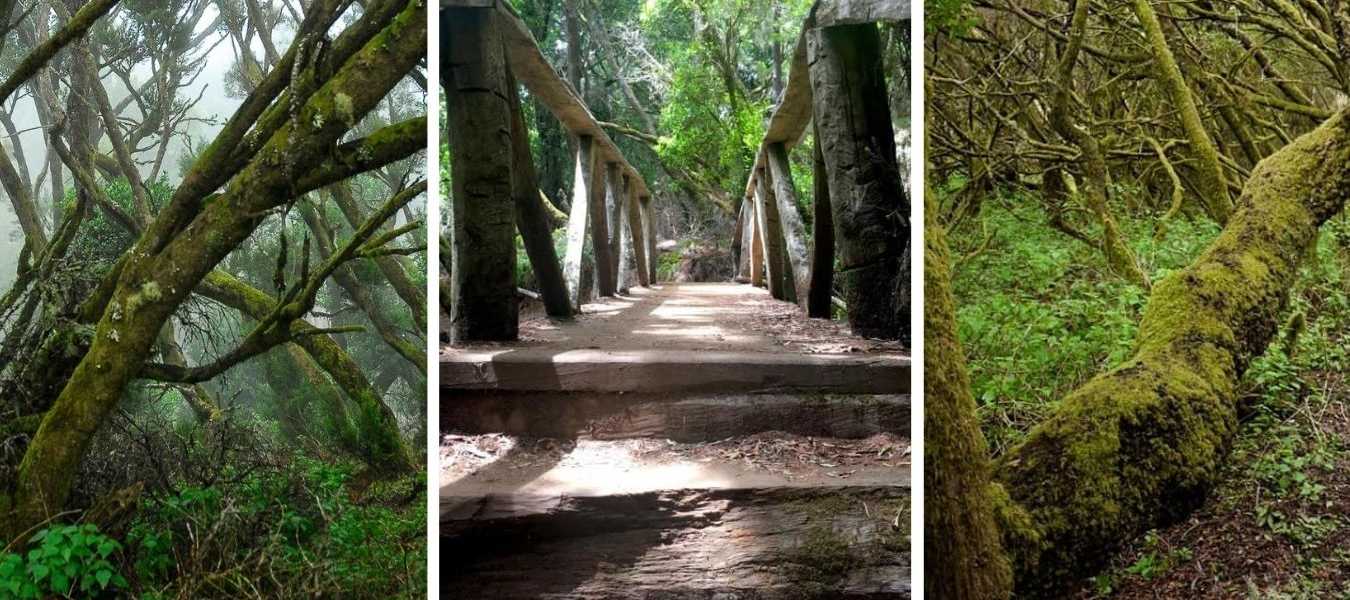 Featured Image 39053