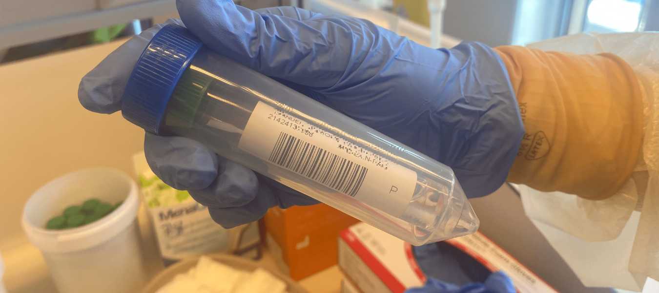 Featured Image 39133