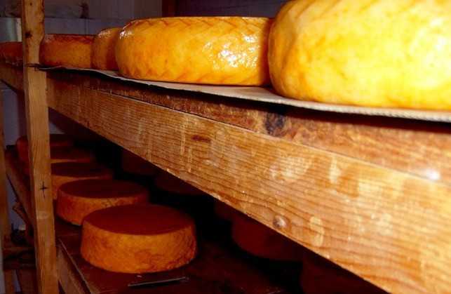 Featured Image 39235