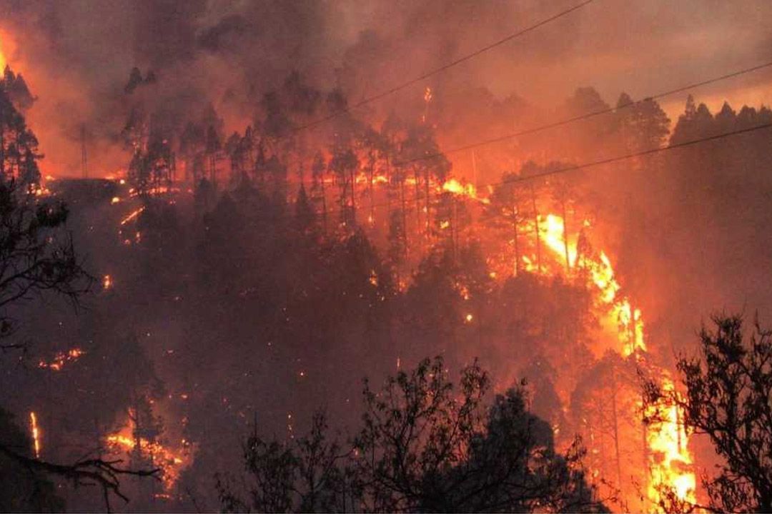 llamas incendio Garafía La Palma