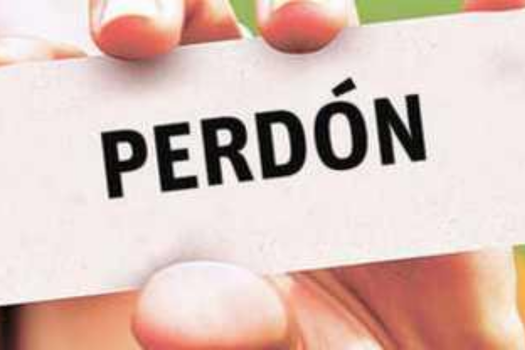Perdon