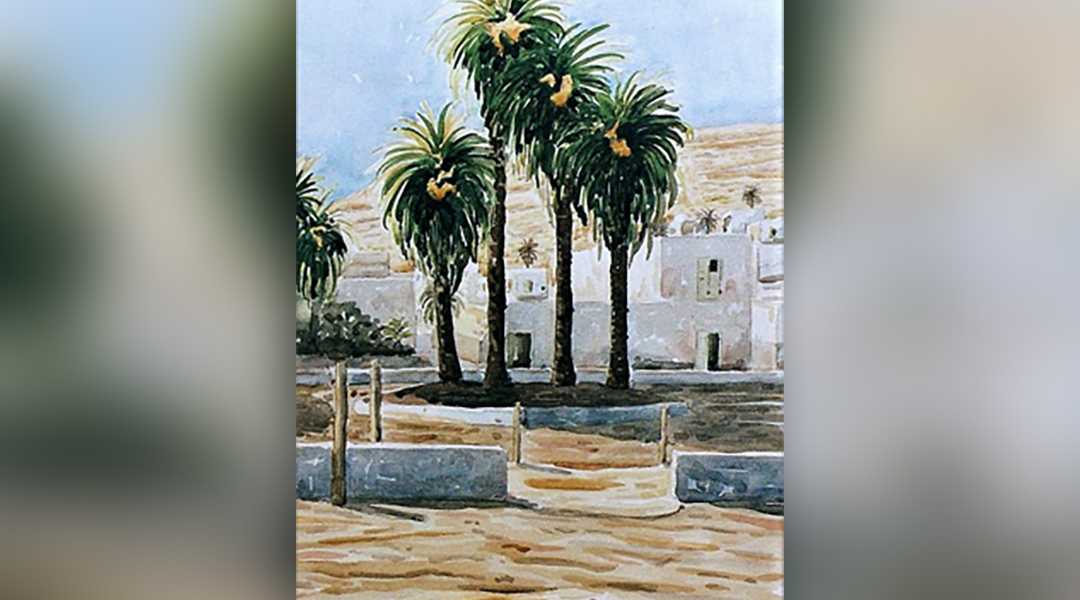 canarias a Mano Haría