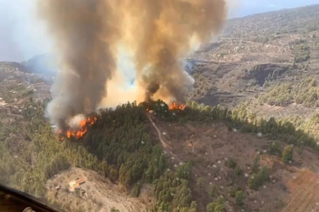 incendio la palma
