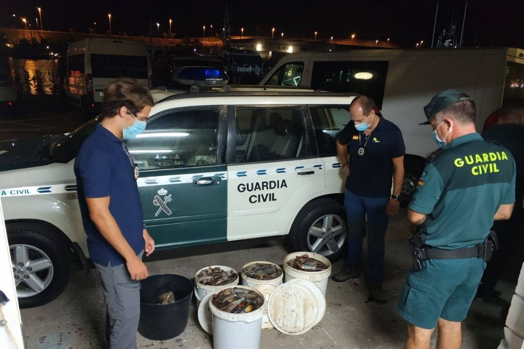 Guardia Civil pesca ilegal