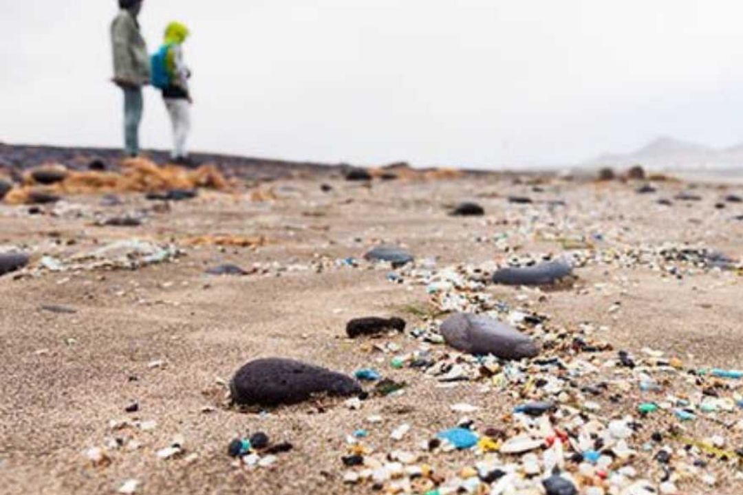 Microplásticos que llegaron a las costas