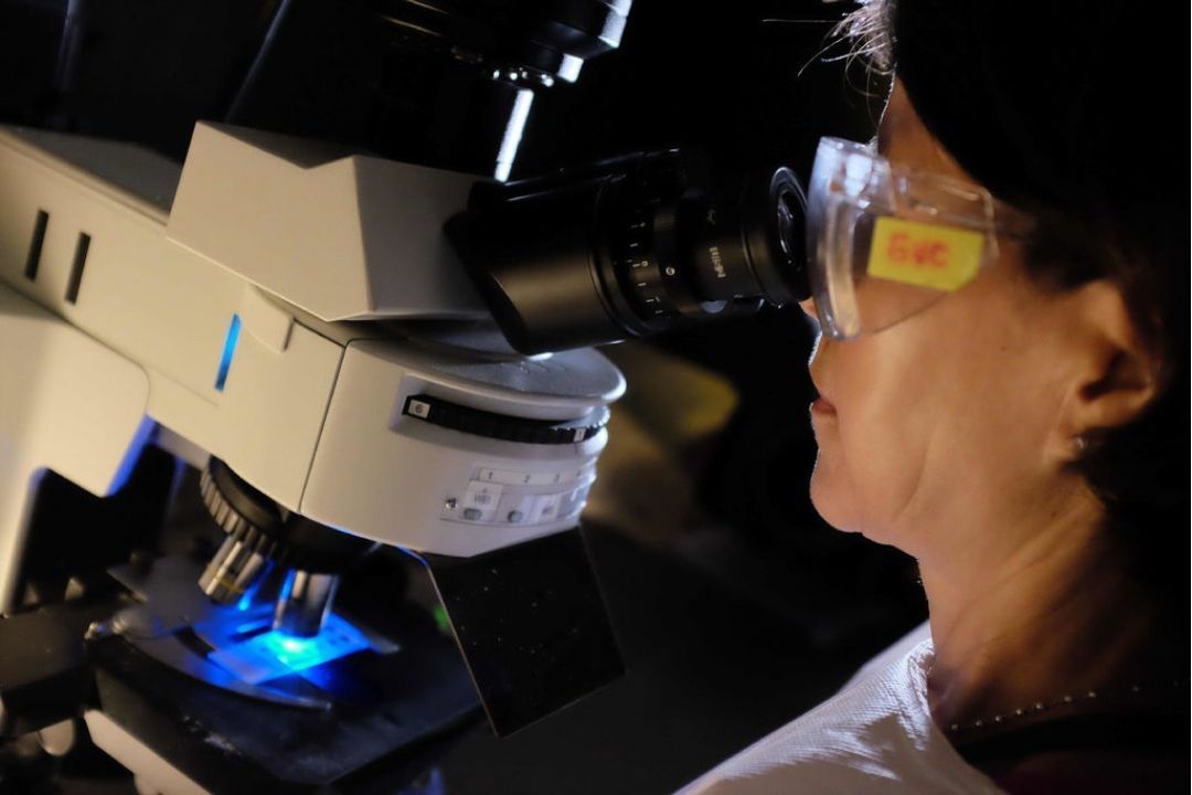 ciencia tecnologia innovacion I+d+i