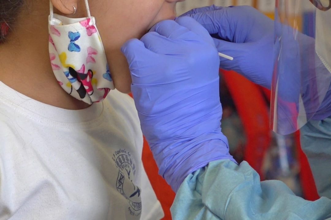 test pcr colegios canarias