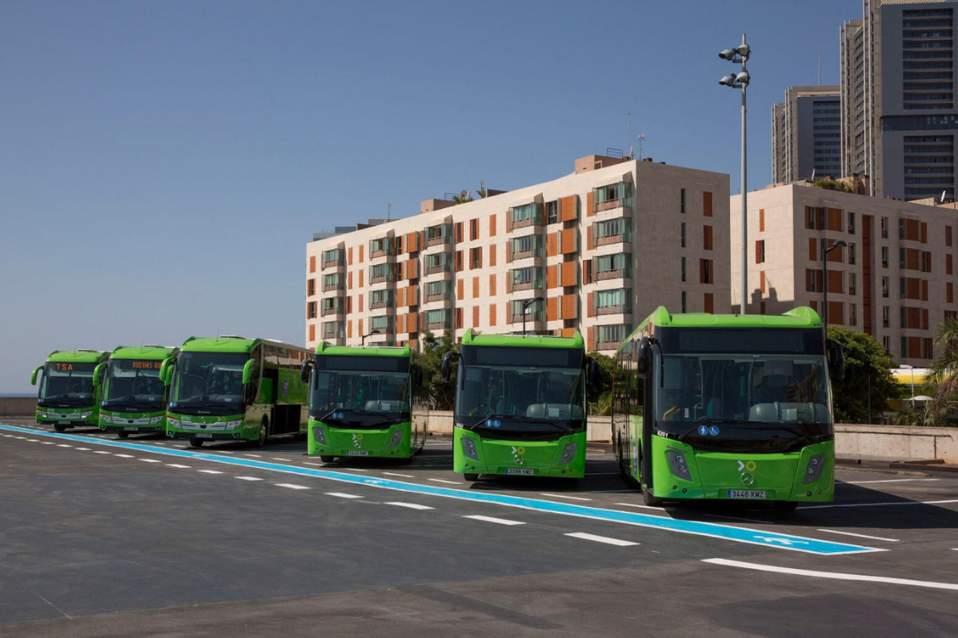 Flota de guaguas de Titsa en el Intercambiador de Santa Cruz./