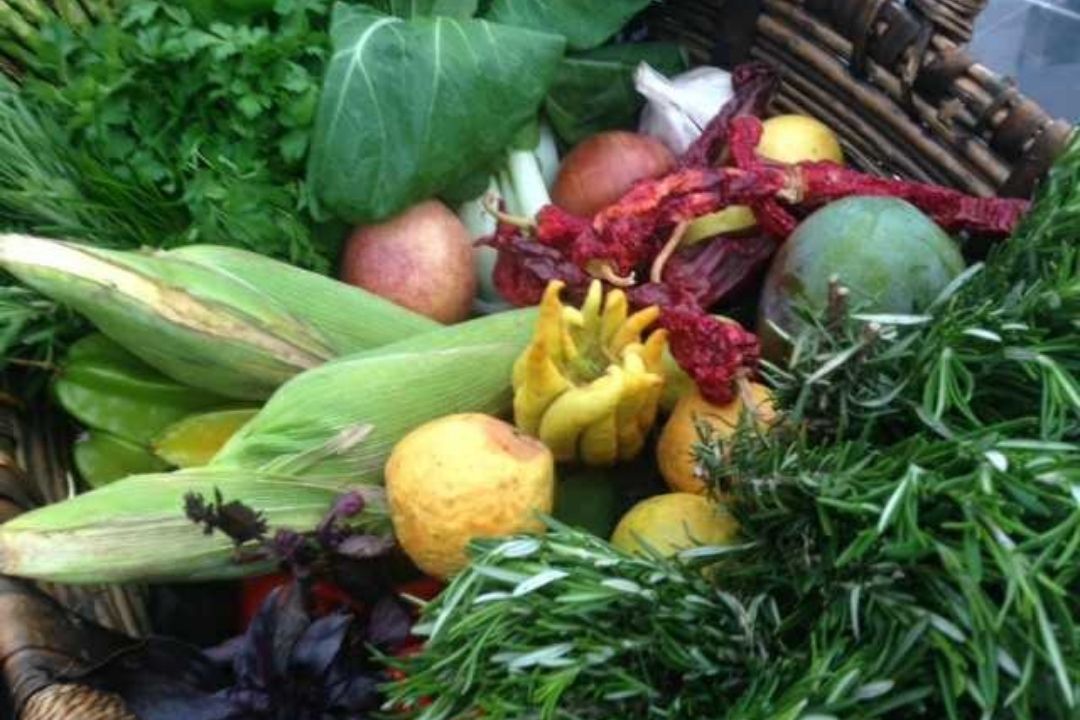 Productos vegetales. / Archivo 