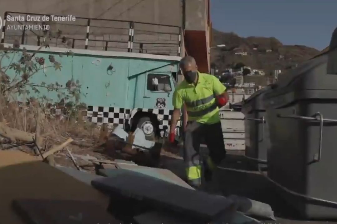 plagas basuras santa cruz