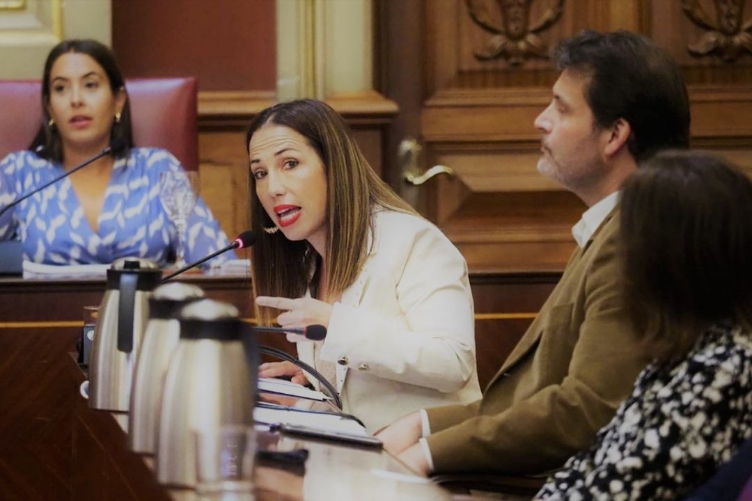 La exalcaldesa socialista de Santa Cruz de Tenerife Patricia Hernández./ Pleno Santa Cruz