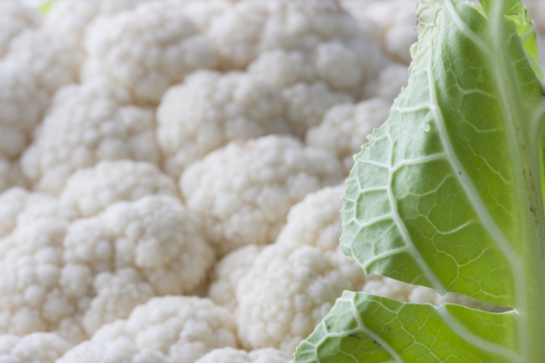 coliflor