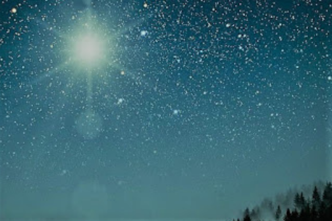 estrella de oriente negrín