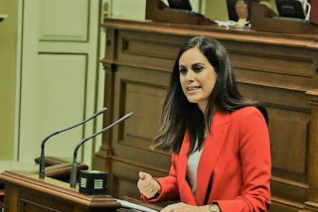 La diputada del Grupo Mixto Vidina Espino. / Archivo