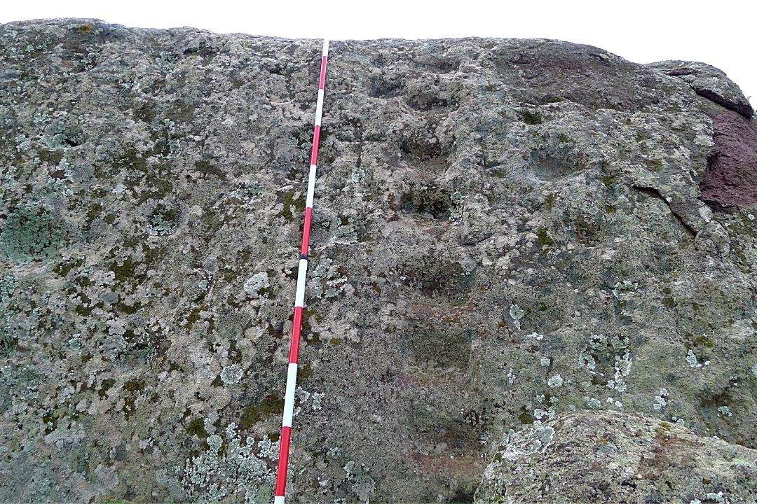 piedra taganana grabado rupestre arqueología guanche