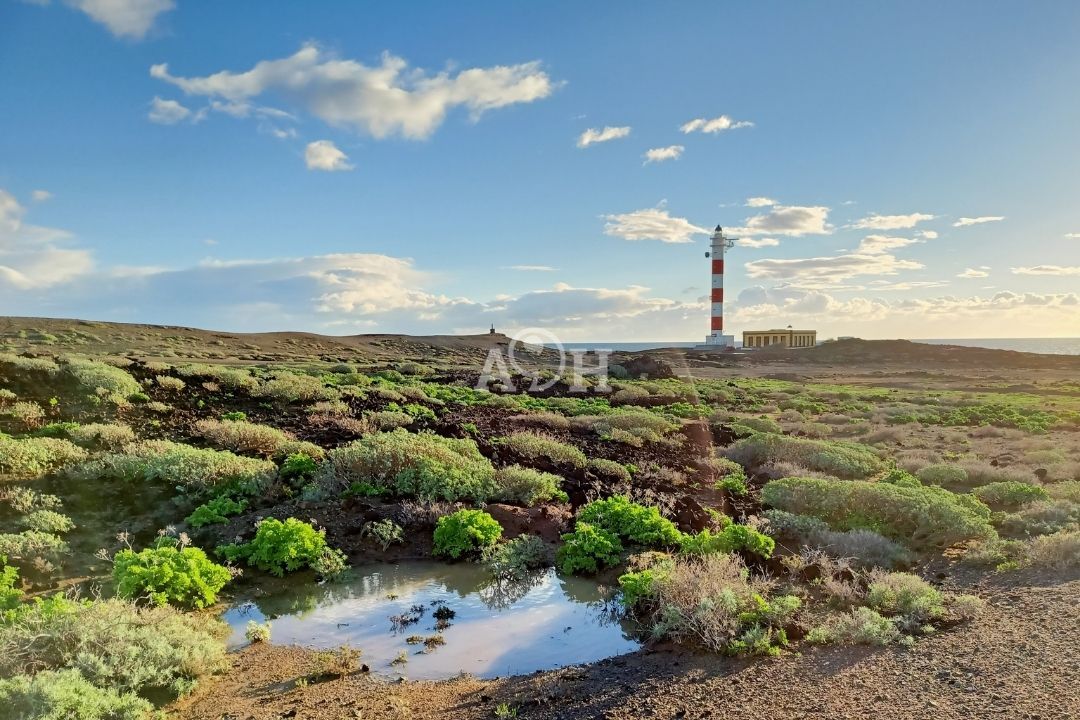 poris sol intervalos temperatura