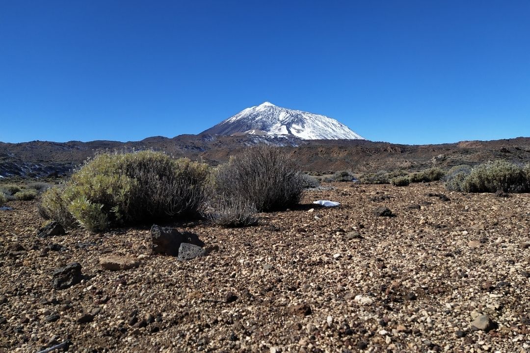 teide (1)