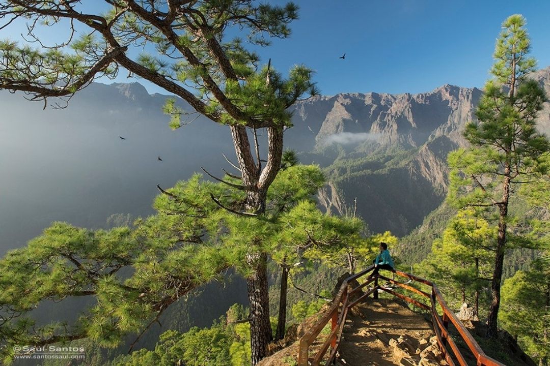 turismo canarias foto de saul santos