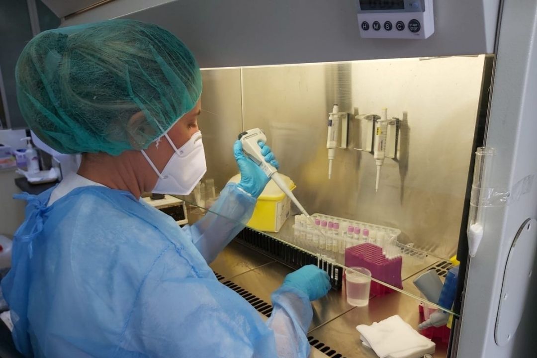 La COVID-19 continúa presentando nuevas cepas tras cuatro años de su aparición / CEDIDA