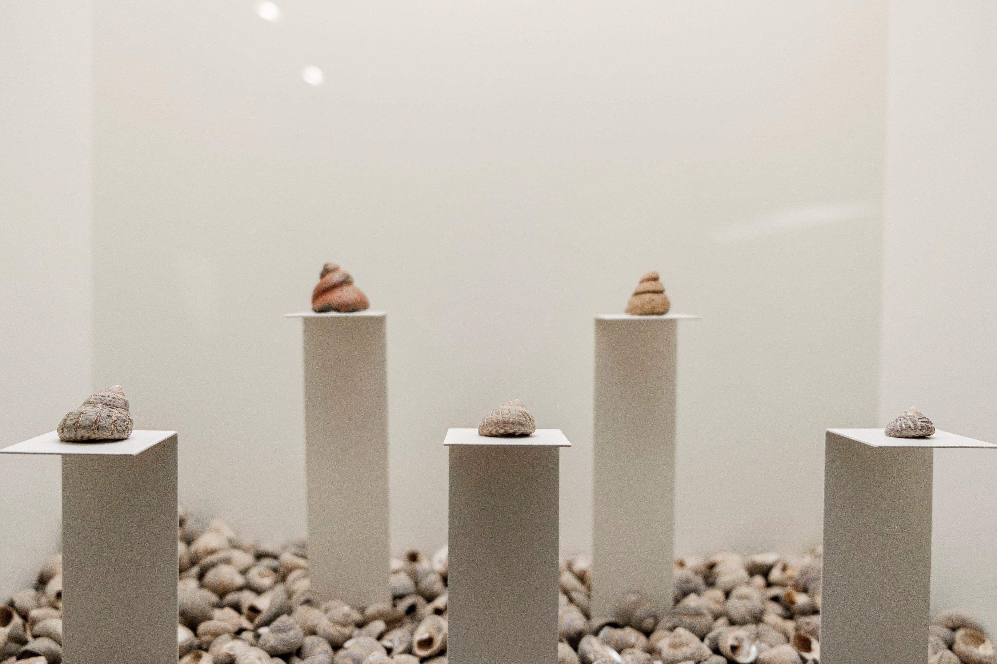 El largo invierno que convirtió en canarios a los pastores bereberes